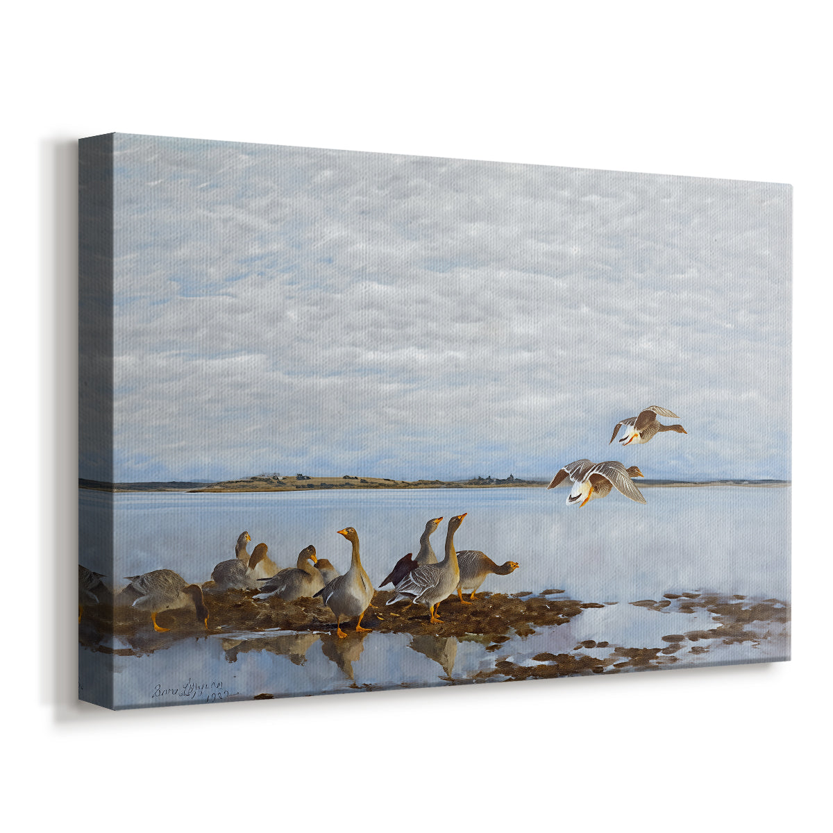 Canvas art print featuring birds standing and resting along shoreline with soft grass and water, displayed at an angle