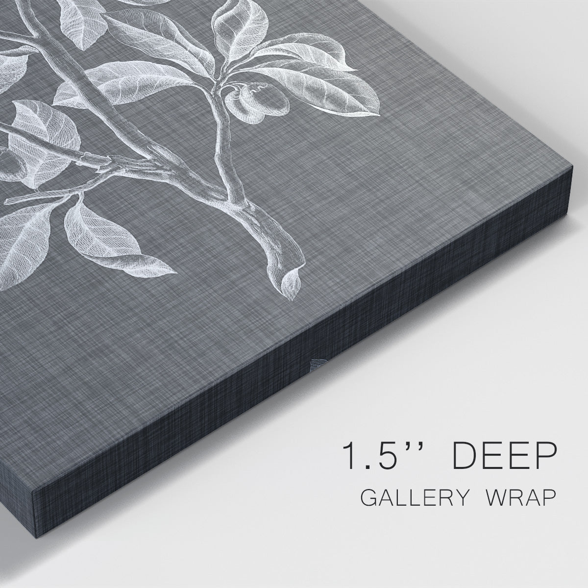 Graphic Foliage I Premium Gallery Wrapped Canvas - Ready to Hang