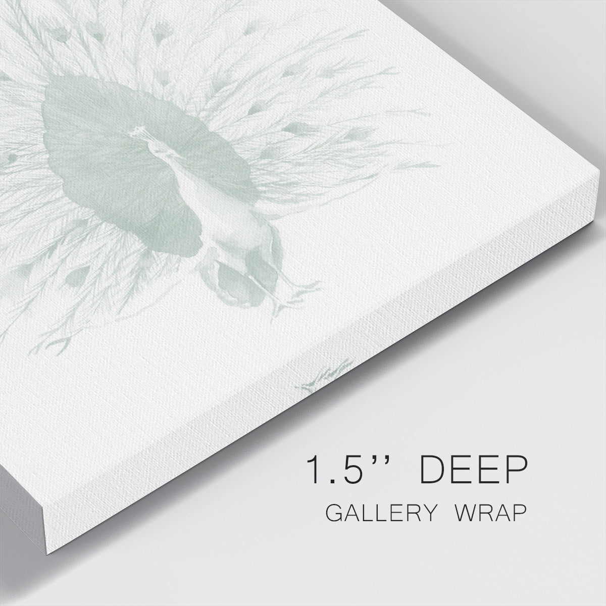 Sage Peacock I - Canvas Art Print