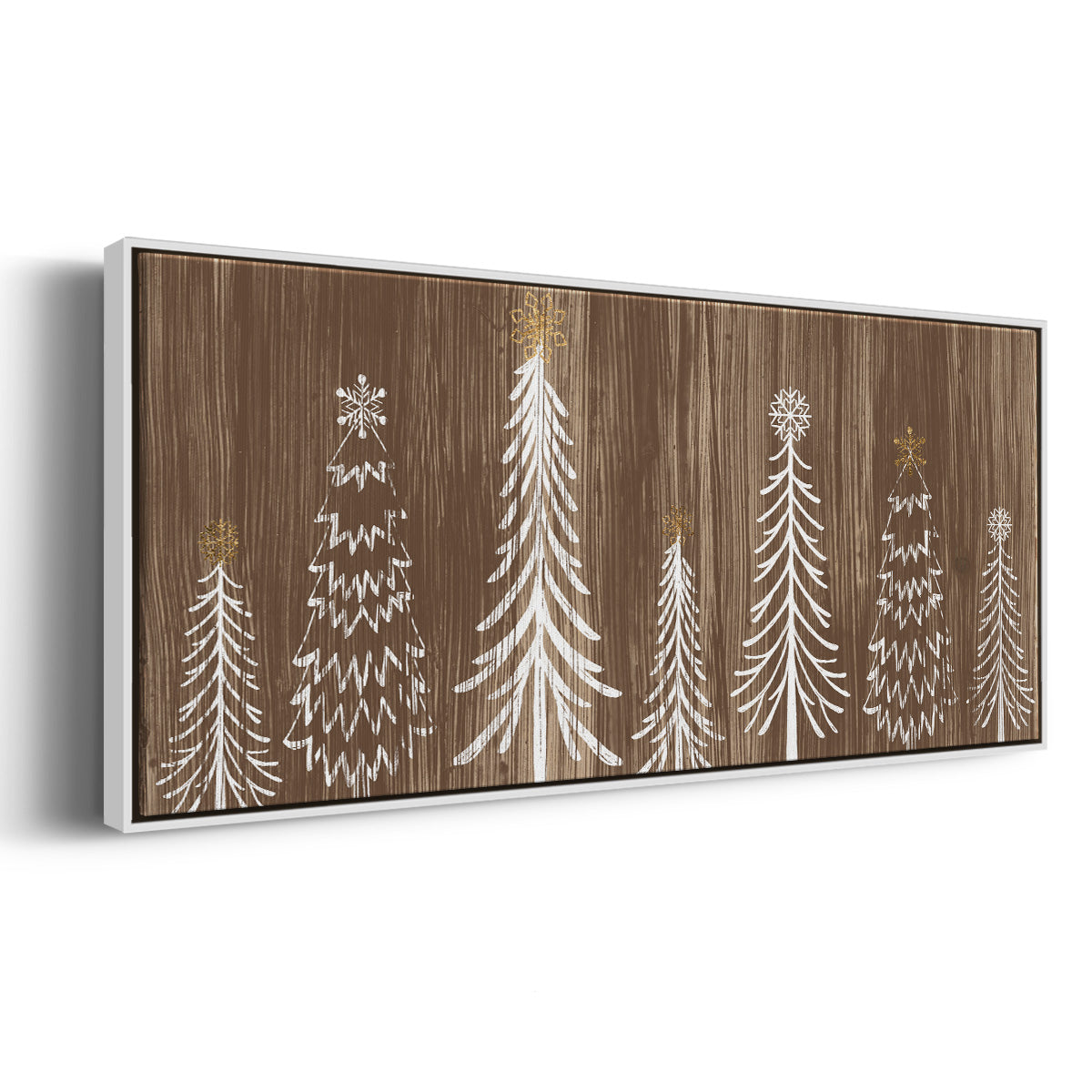Barnwood Wonderland Collection D - Floater Framed Canvas Print