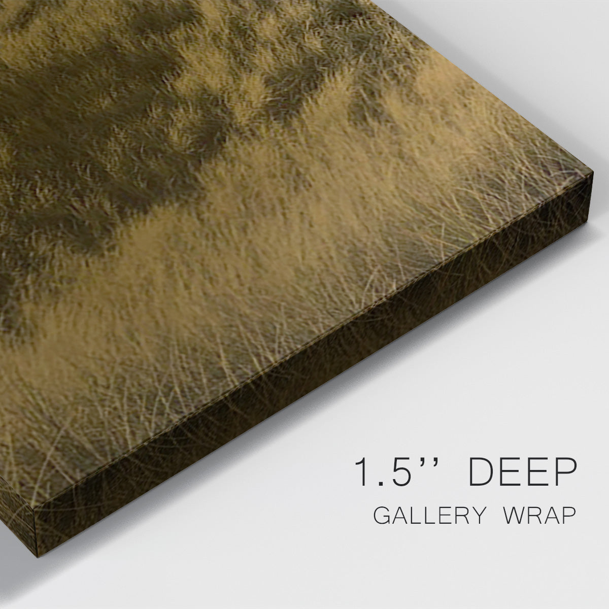 Golden Fog I - Canvas Art Print