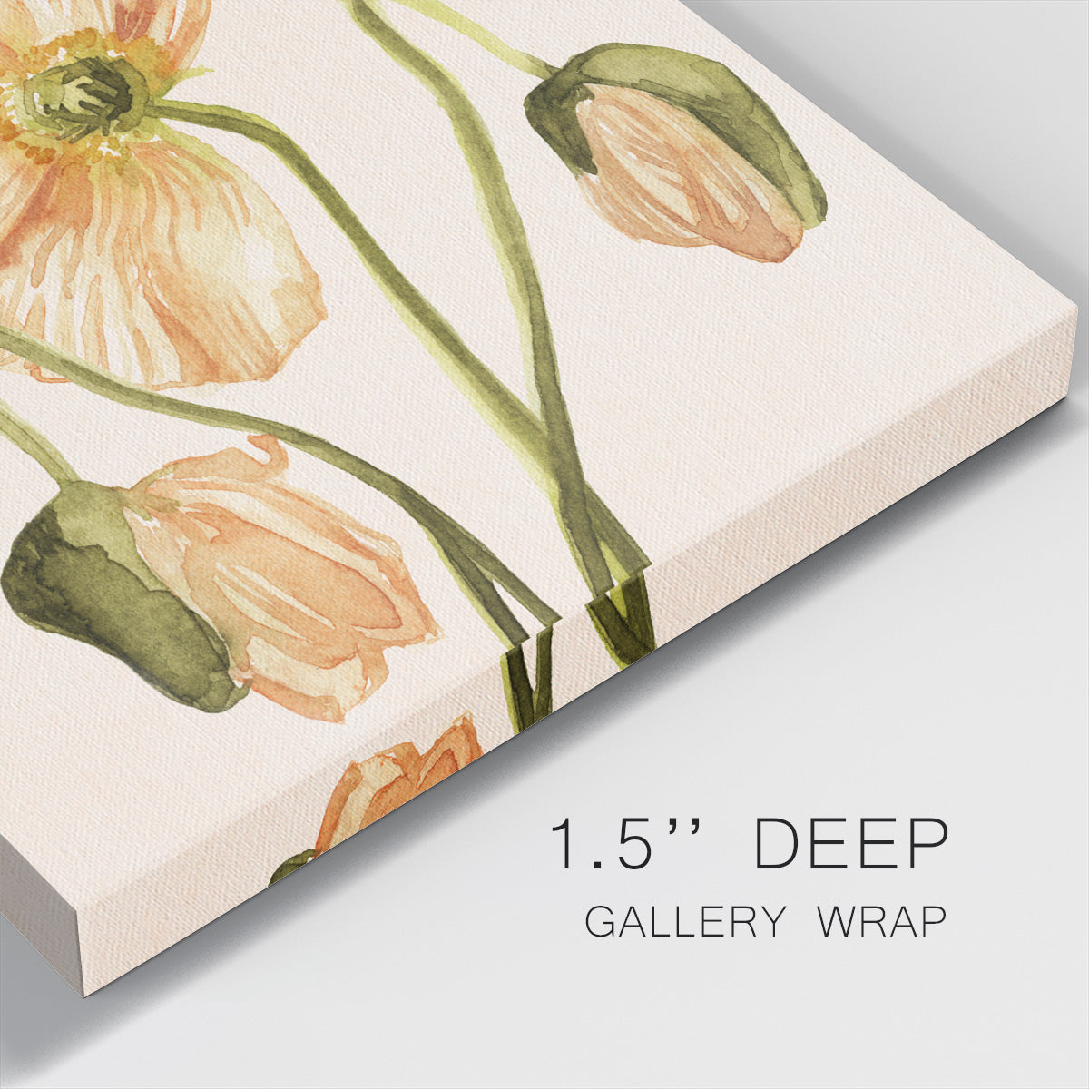 Highpoint Poppies I - Canvas Art Print