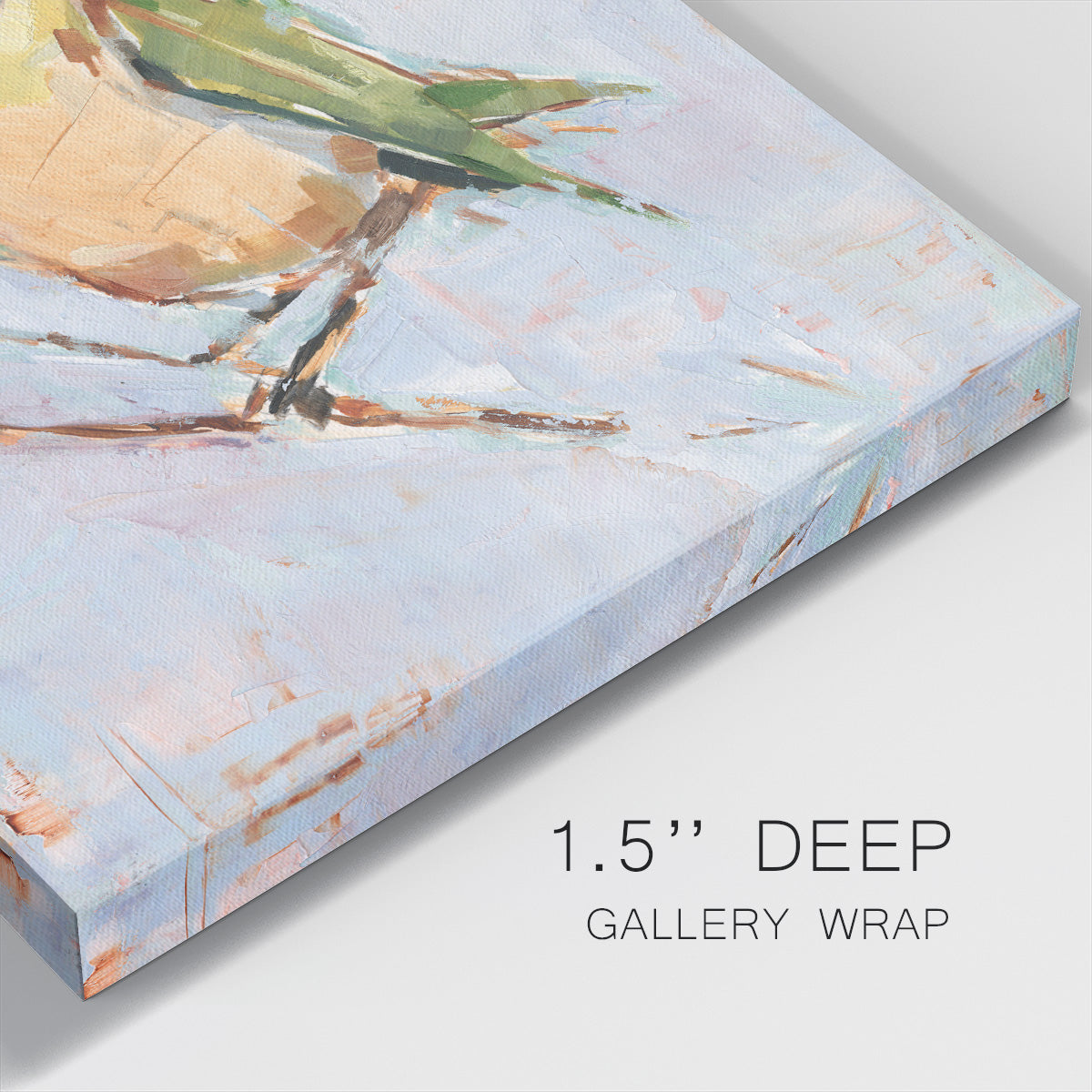 Bird Variety II-Premium Gallery Wrapped Canvas - Ready to Hang