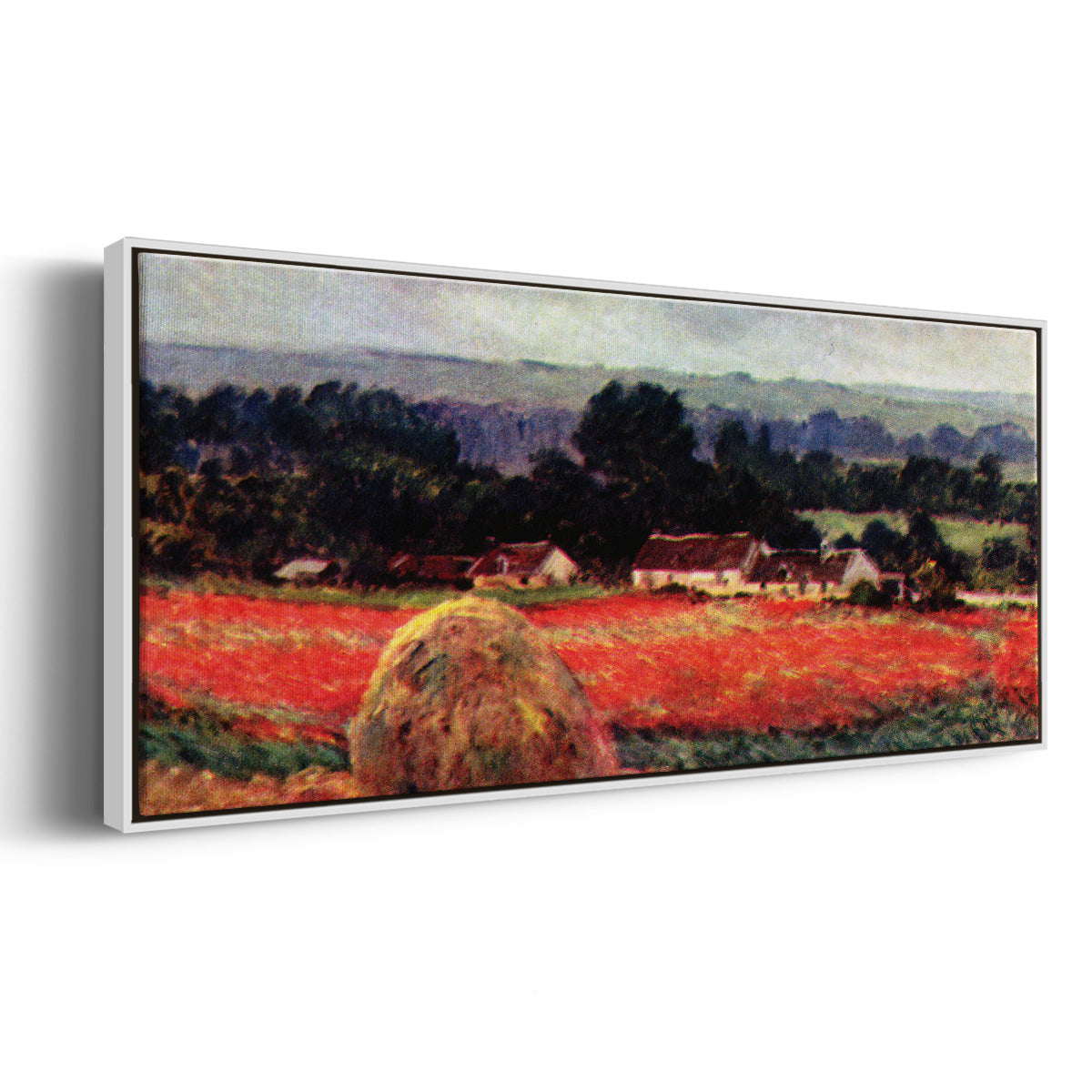 The Poppy Blumenfeld (The Barn) - Floater Framed Canvas Print