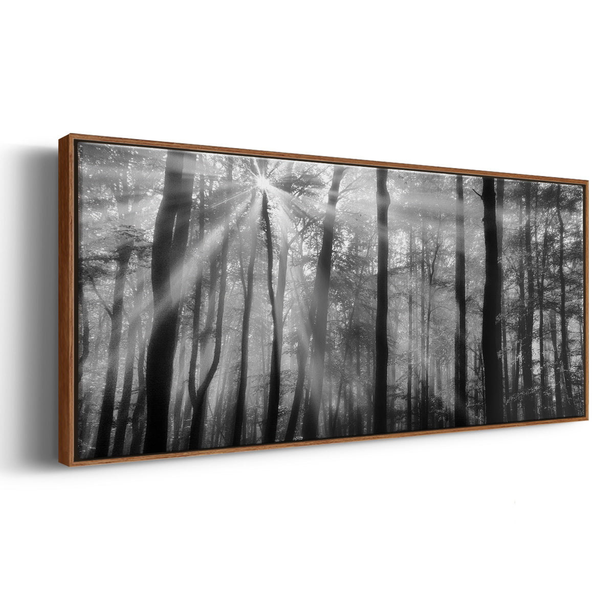 Breaking Through - Floater Framed Canvas Print