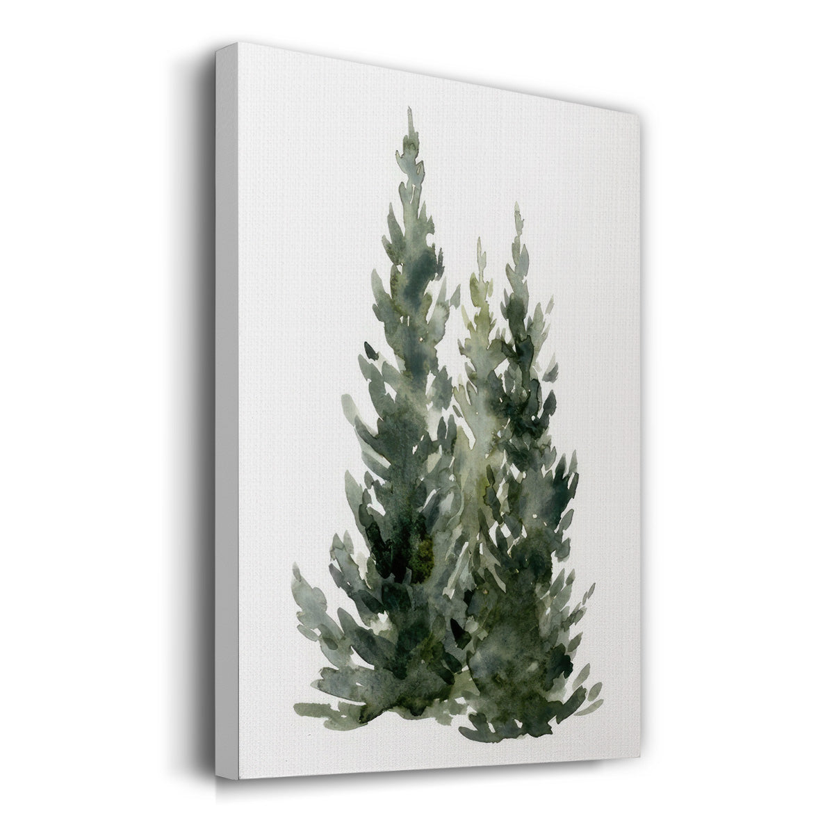 Simple Evergreens I - Gallery Wrapped Canvas