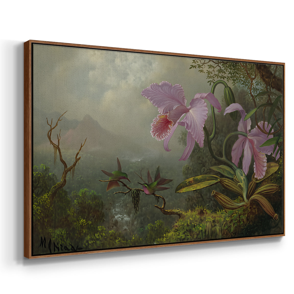 Two Sun Angel Hummingbirds on a Branch, c. 1890-1904 - Floater Framed Canvas Print