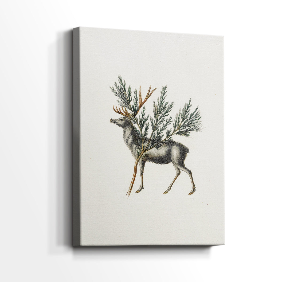 Midnight of Pearled Dawn - Canvas Art Print