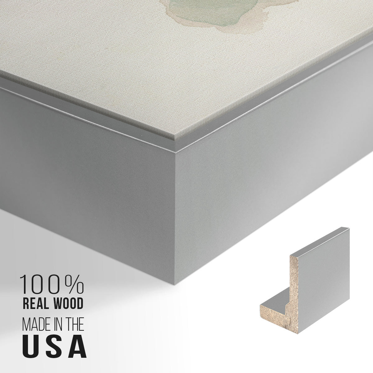 Succulent I -  Framed Canvas Print