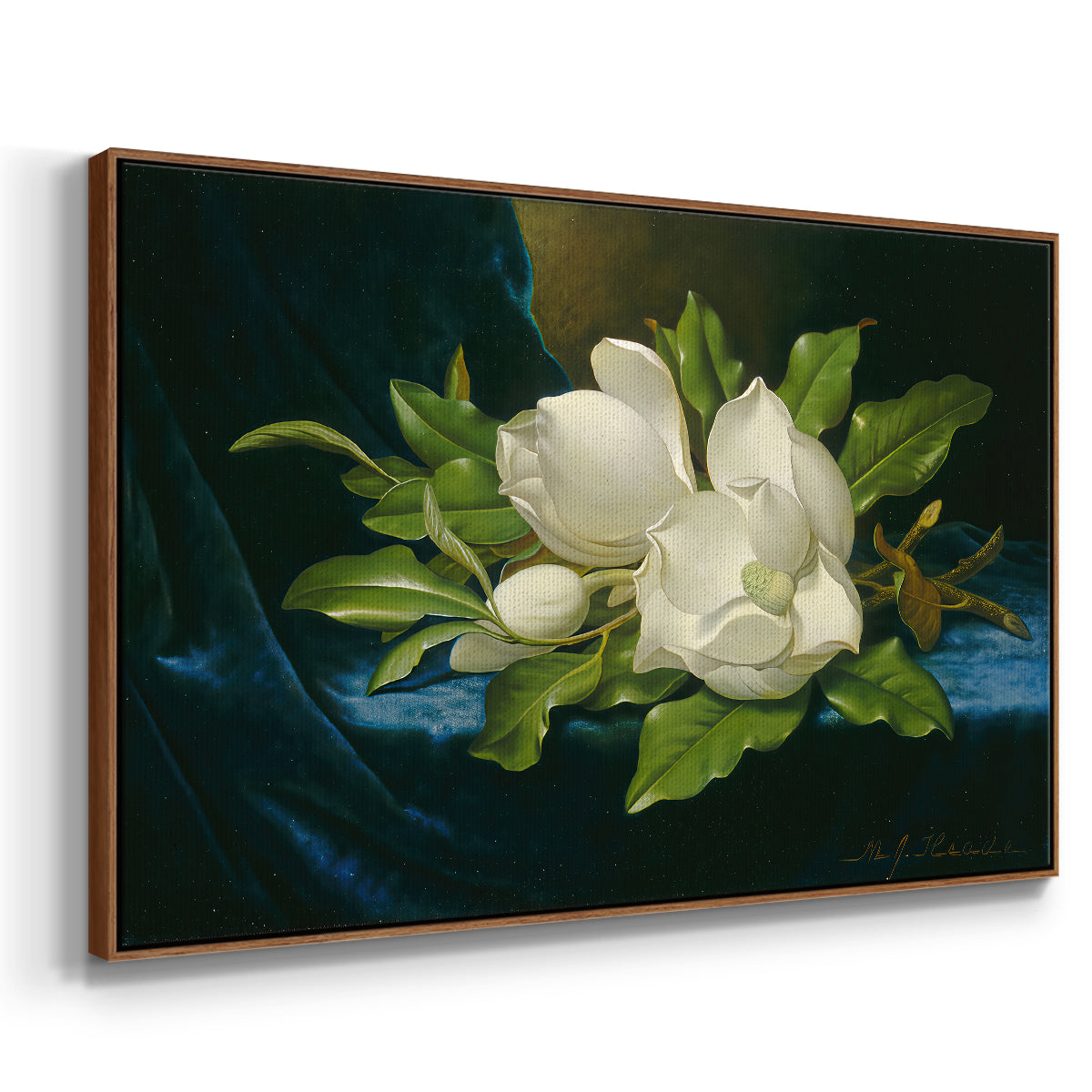 Giant Magnolias on a Blue Velvet Cloth, c. 1890 - Floater Framed Canvas Print