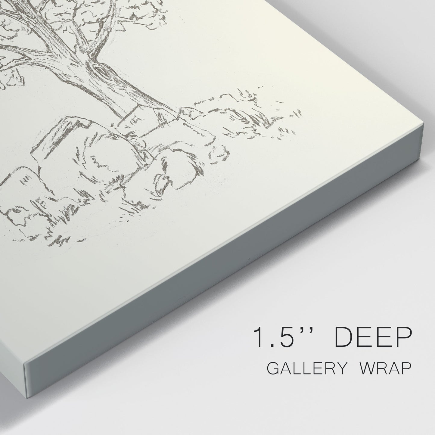 Wooded Path II Premium Gallery Wrapped Canvas - Ready to Hang