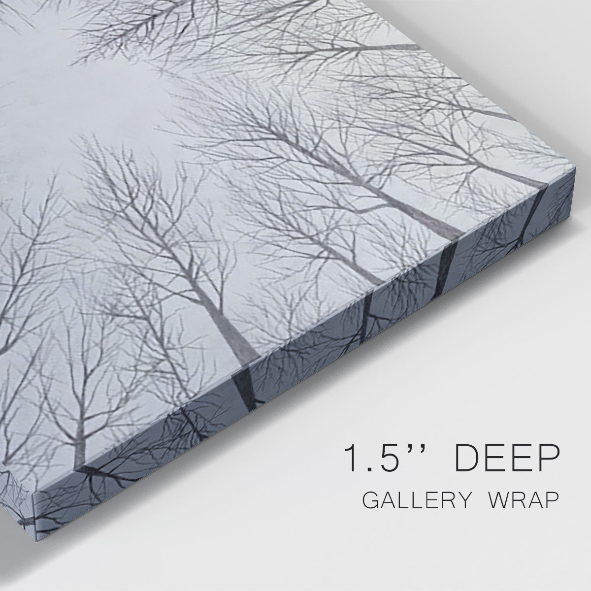 Deciduous Canopy I - Canvas Art Print