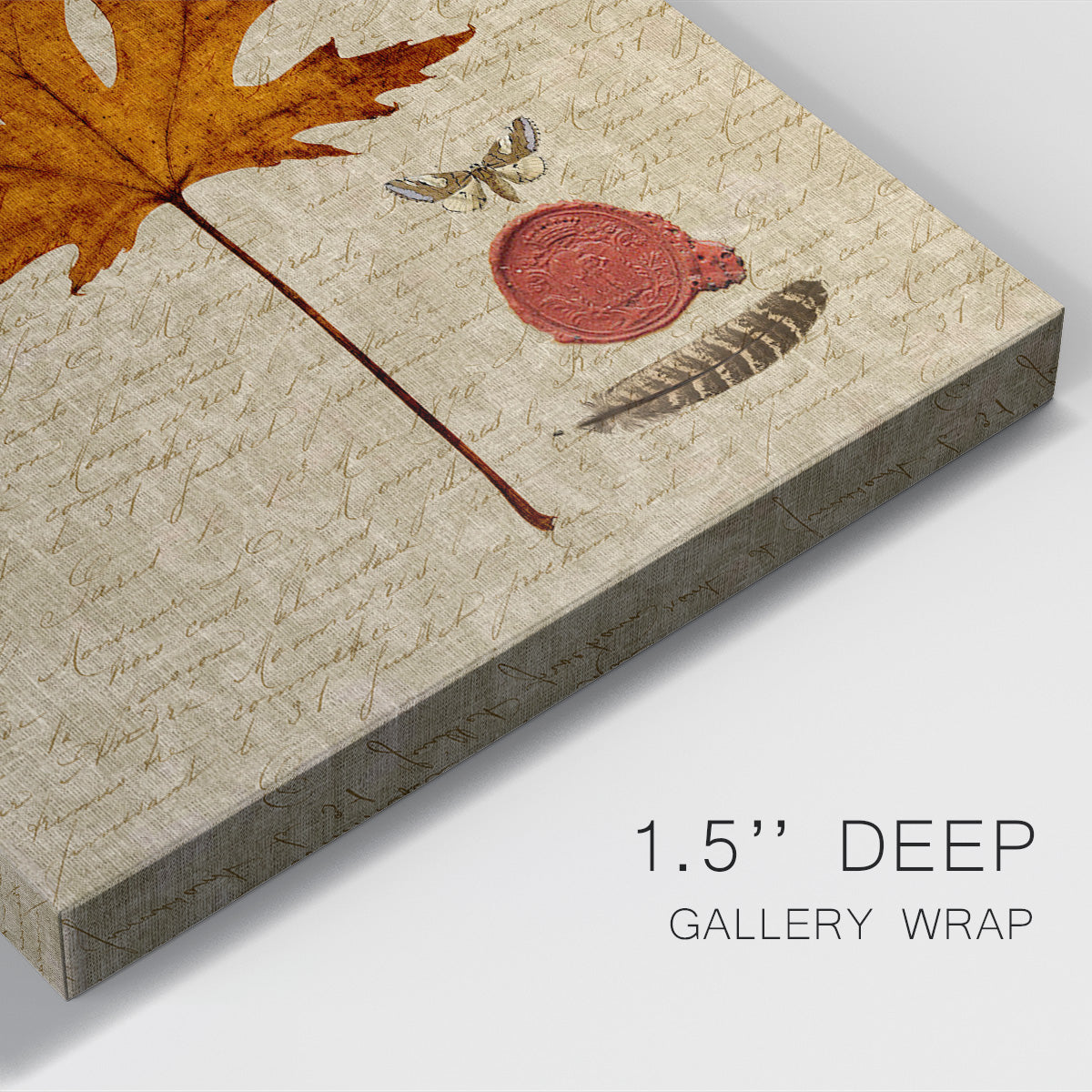 Autumn Leaf I Premium Gallery Wrapped Canvas - Ready to Hang