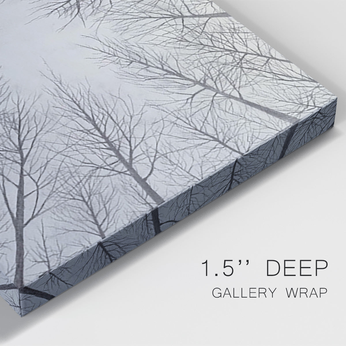 Deciduous Canopy II - Canvas Art Print