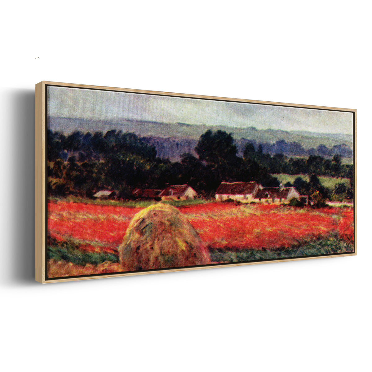 The Poppy Blumenfeld (The Barn) - Floater Framed Canvas Print