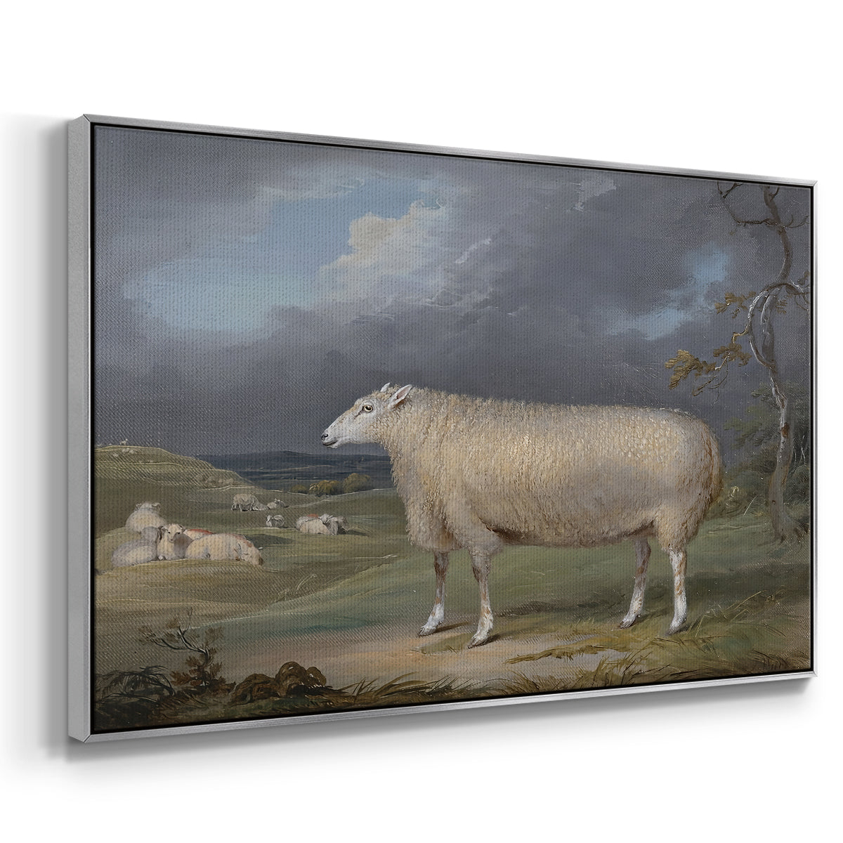 A Border Leicester Ewe, c. 1795-1800 - Floater Framed Canvas Print