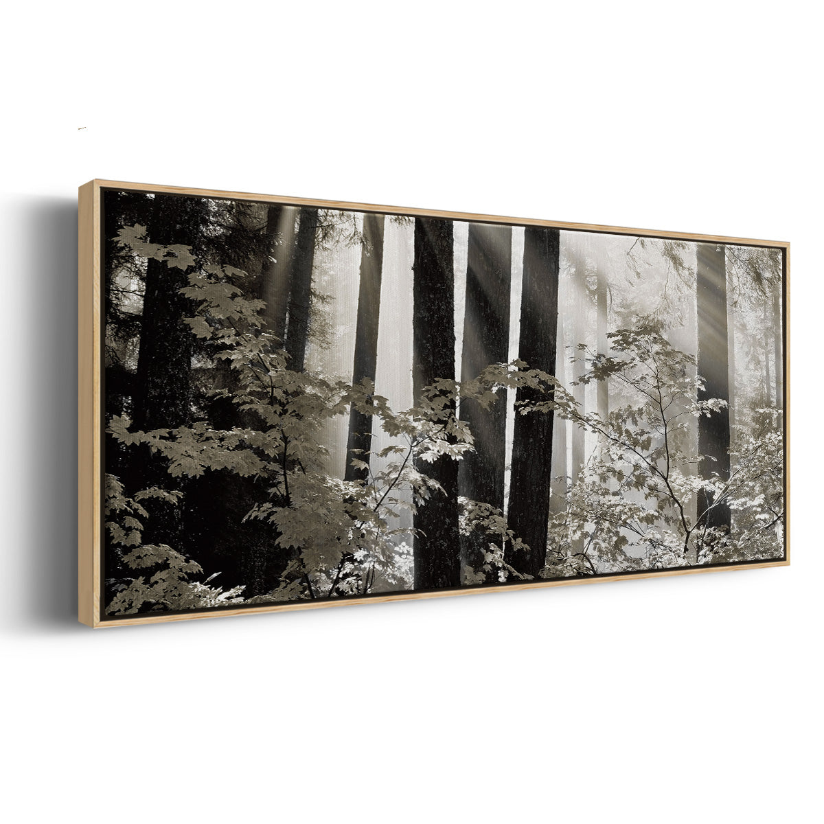 Misty Forest - Floater Framed Canvas Print