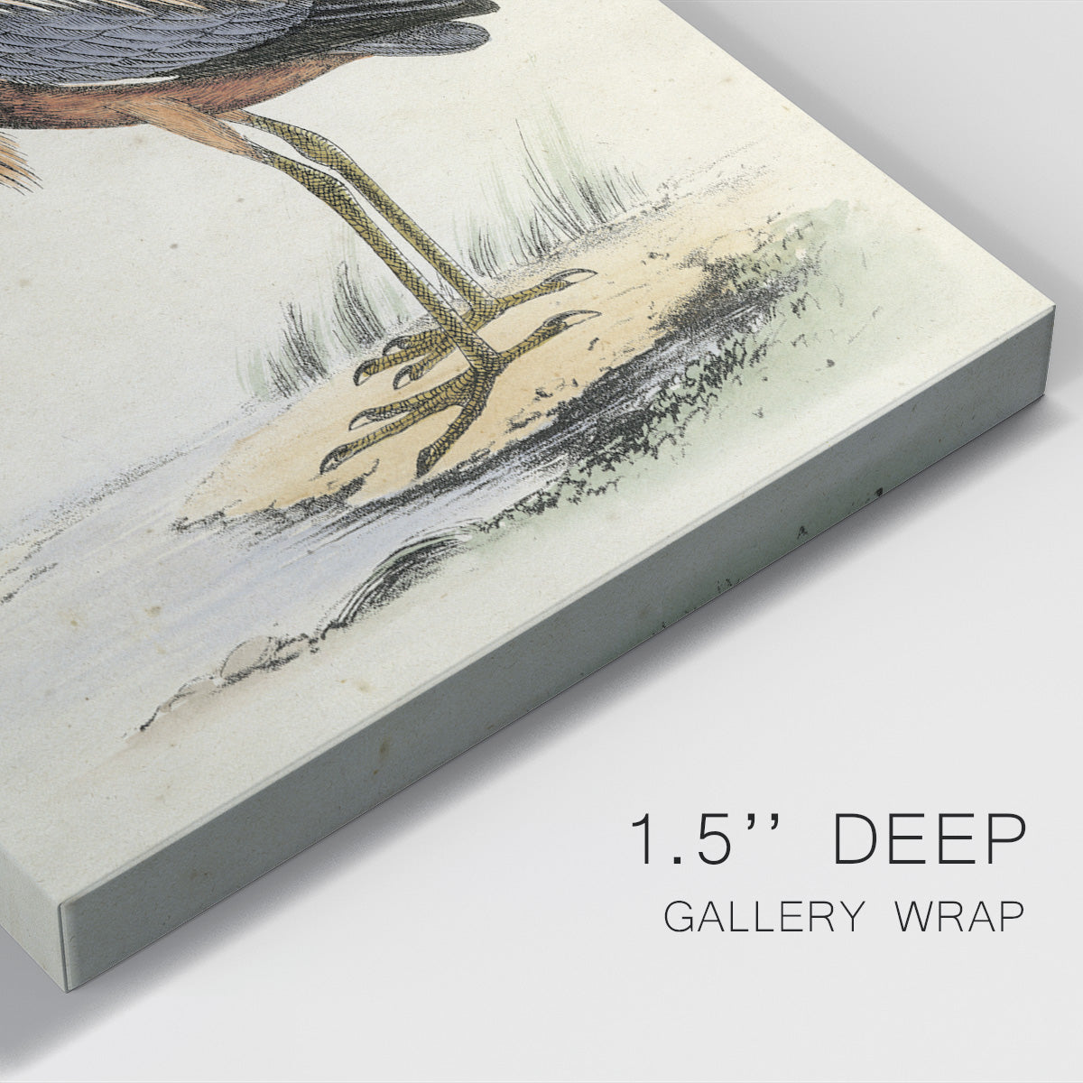 Antique Heron II Premium Gallery Wrapped Canvas - Ready to Hang