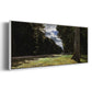 The Road of Chailly in the Fontainbleau Forest, 1865 - Floater Framed Canvas Print