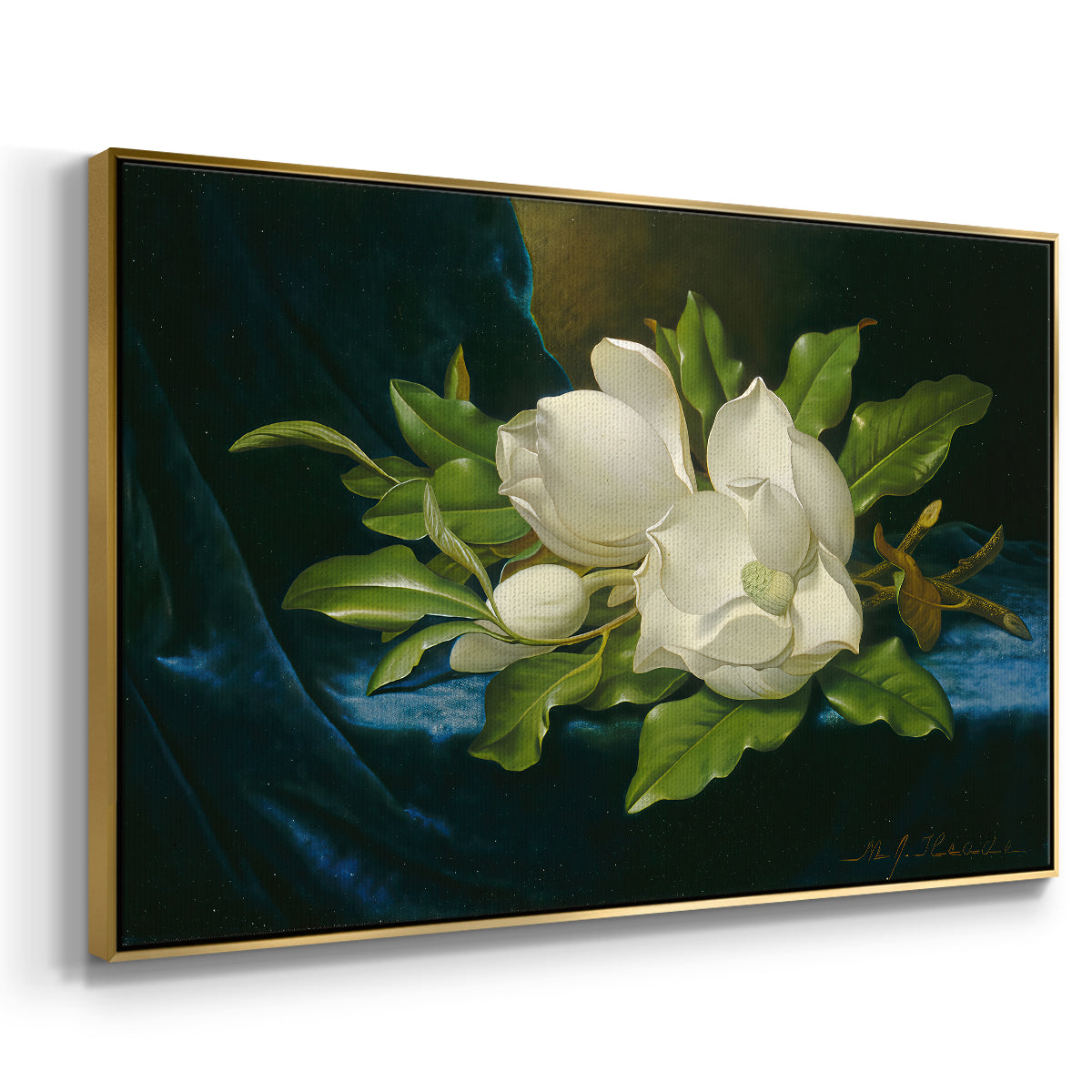 Giant Magnolias on a Blue Velvet Cloth, c. 1890 - Floater Framed Canvas Print