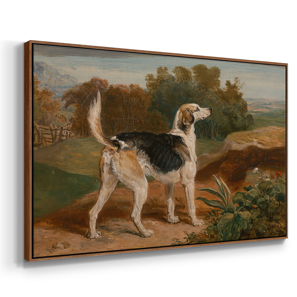 Ravager, One of the Lambton Hounds, 1835 - Floater Framed Canvas Print