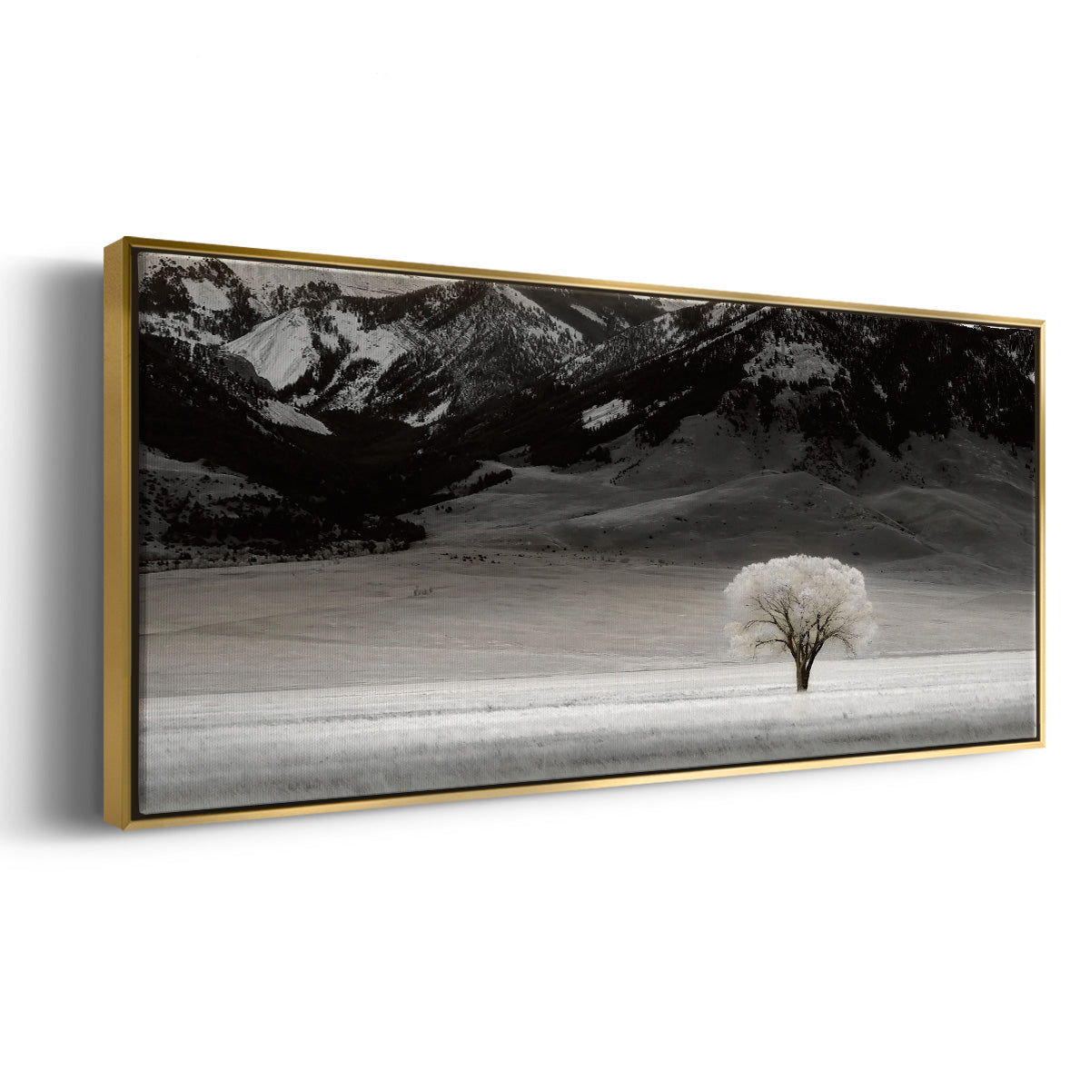 Solitary Tree - Floater Framed Canvas Print