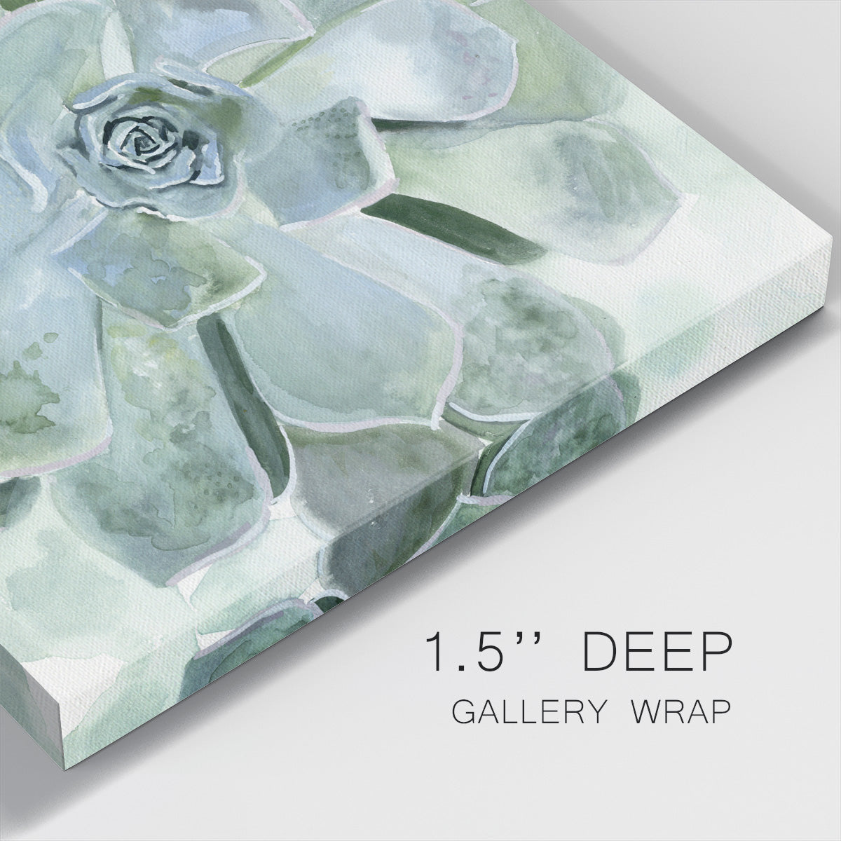 Verdant Succulent III-Premium Gallery Wrapped Canvas - Ready to Hang