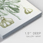 Buchoz Tropicals IX - Canvas Art Print