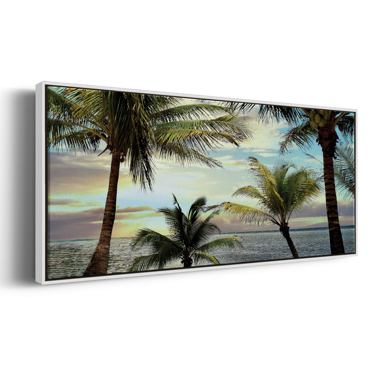 Honduras Sunset - Floater Framed Canvas Print