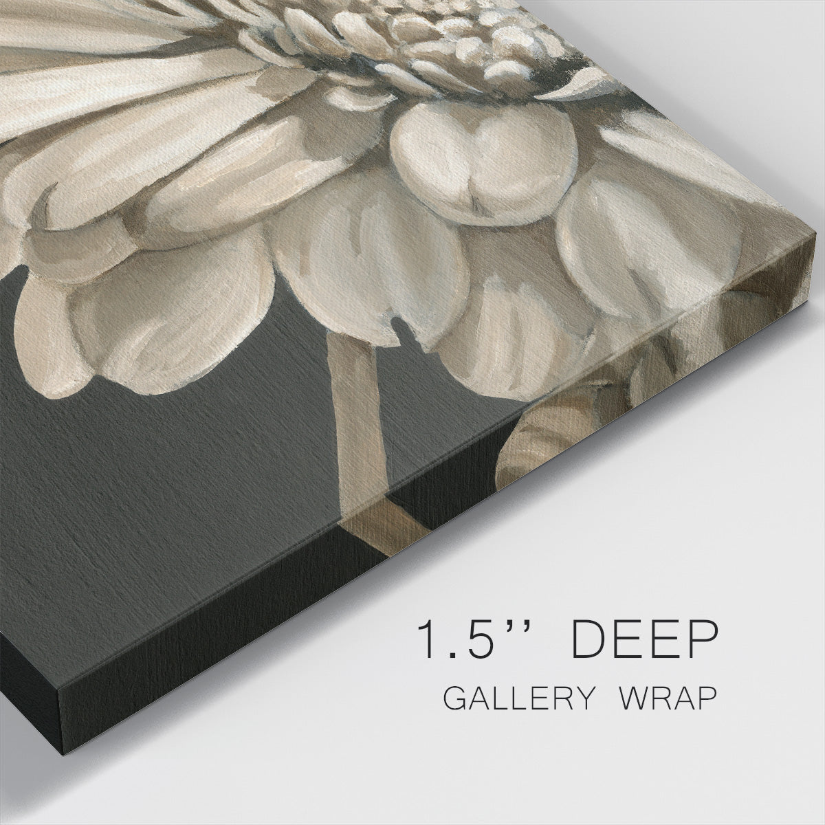 Classical Blooms IV - Canvas Art Print