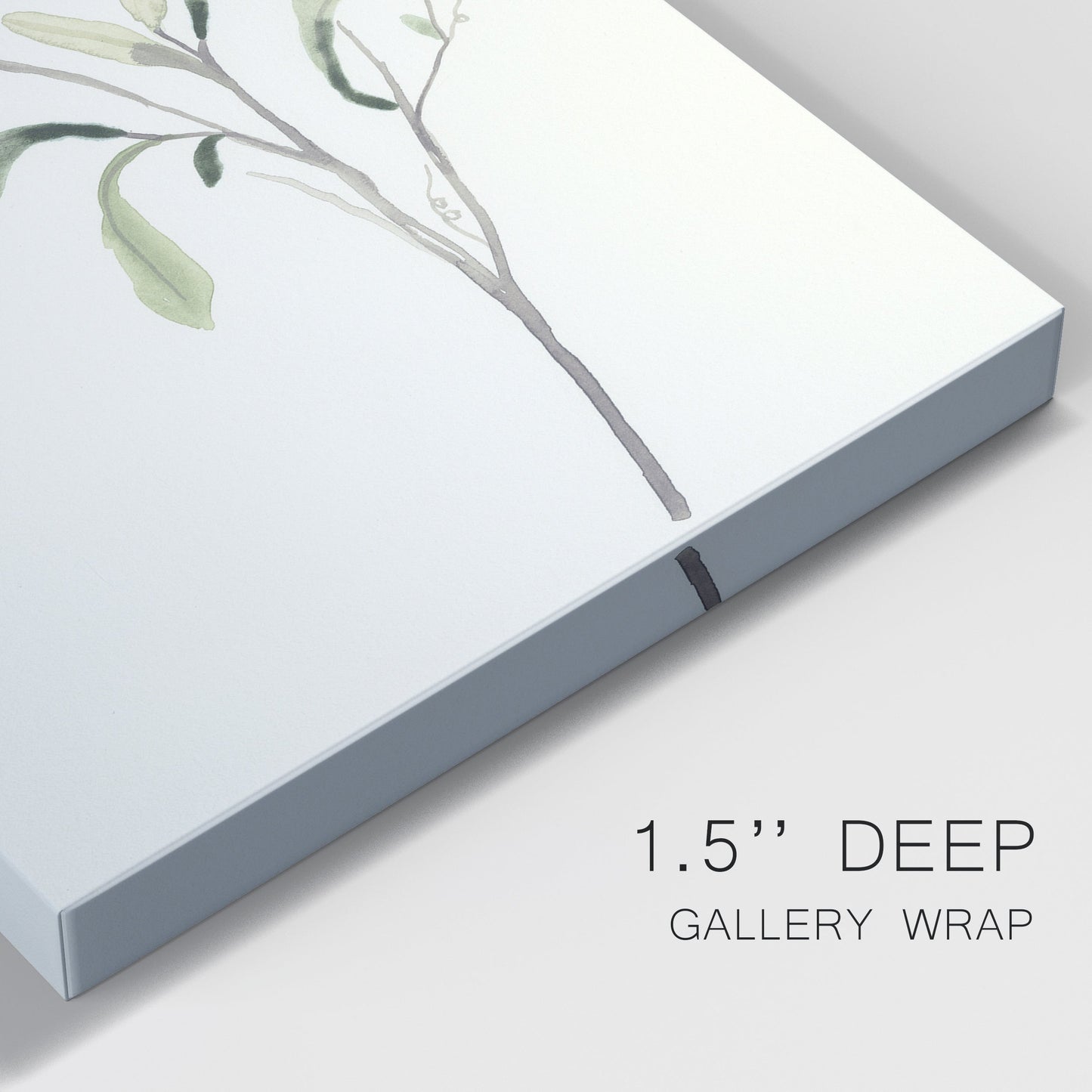 Spindle Sprig III Premium Gallery Wrapped Canvas - Ready to Hang