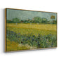 Field with Irises near Arles, 1888 - Floater Framed Canvas Print
