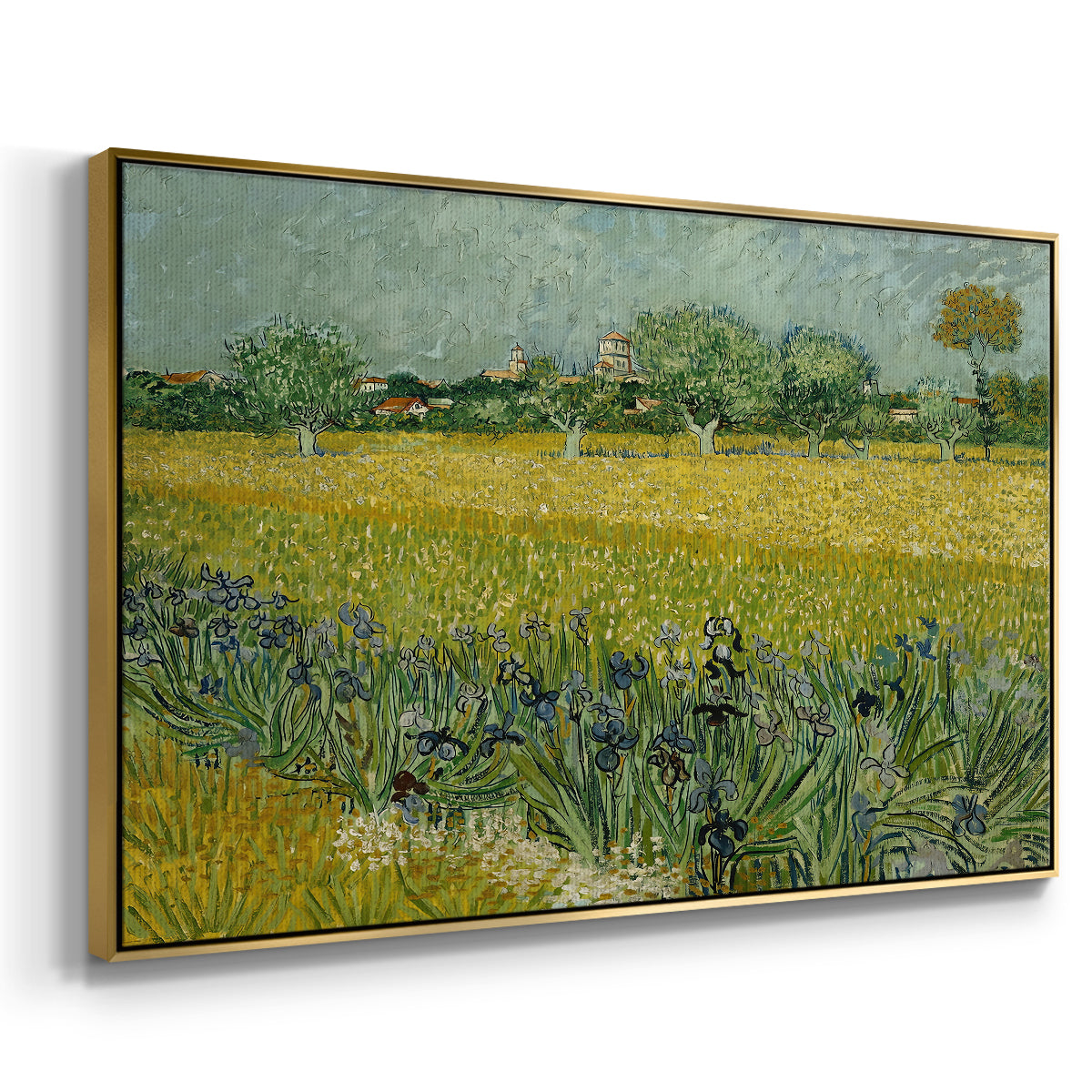 Field with Irises near Arles, 1888 - Floater Framed Canvas Print