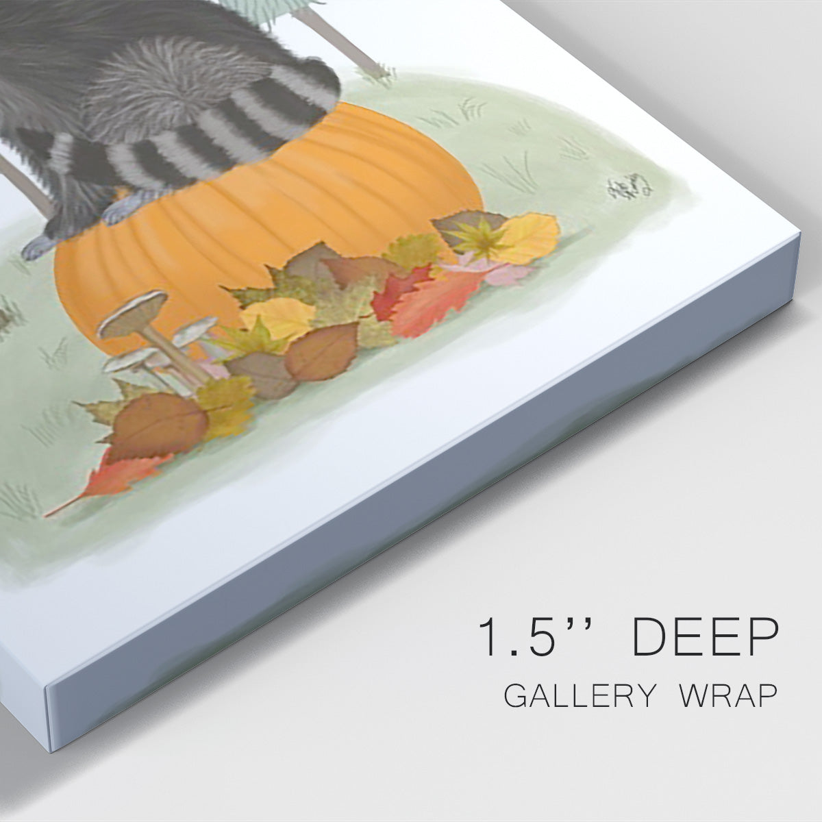 Raccoon On Pumpkin - Canvas Art Print