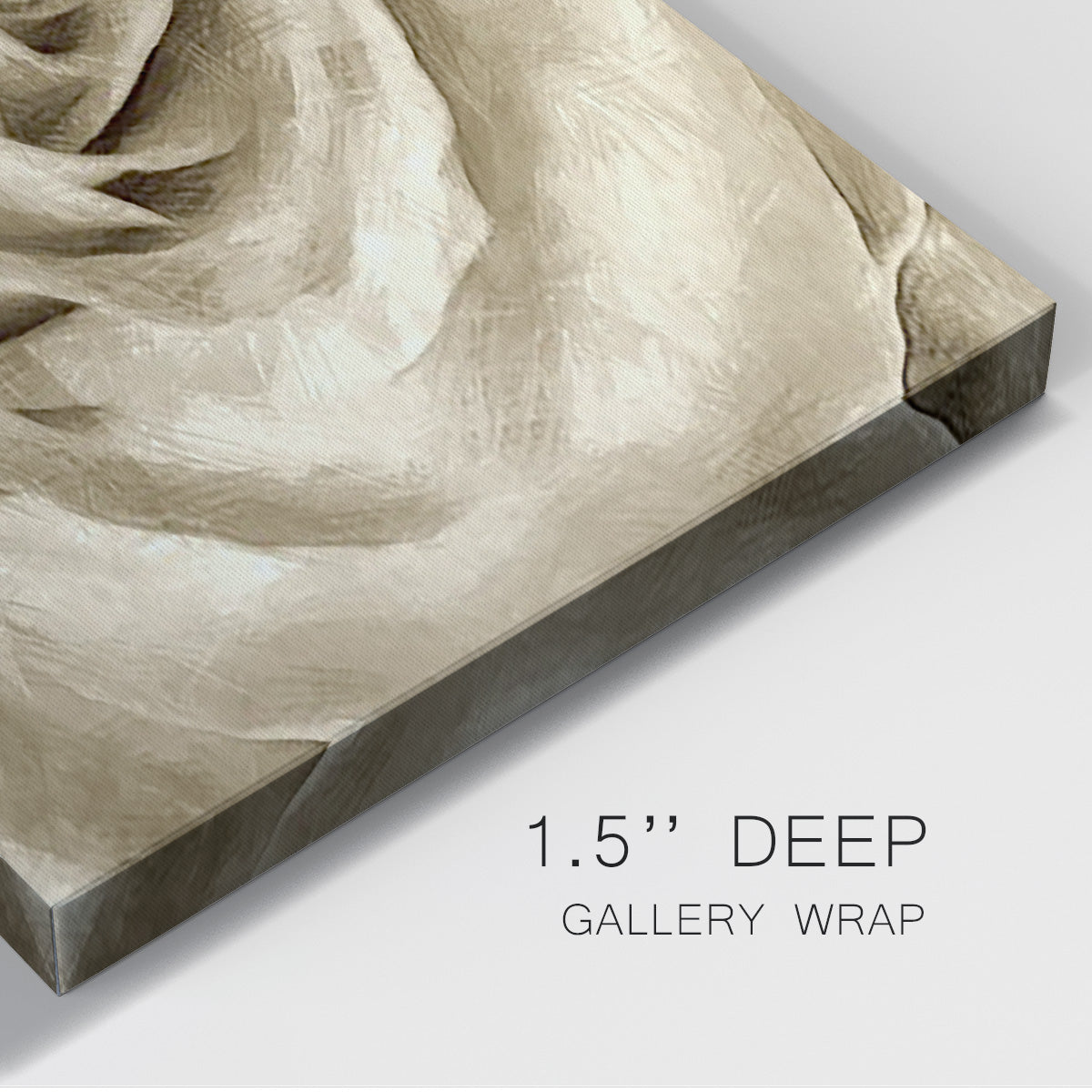 Neutral Wall Flower IV - Canvas Art Print