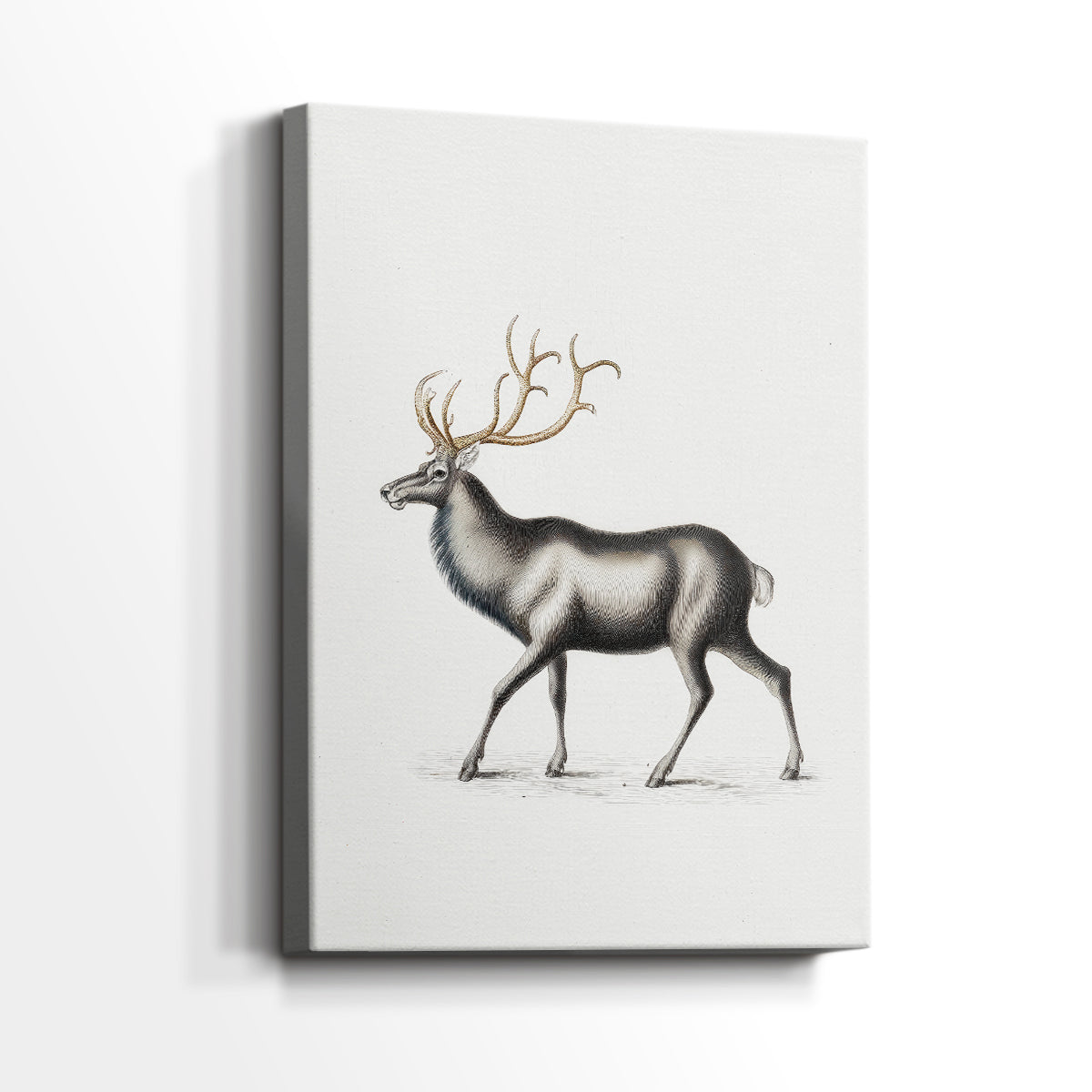 Pearled Chapel Carol - Canvas Art Print