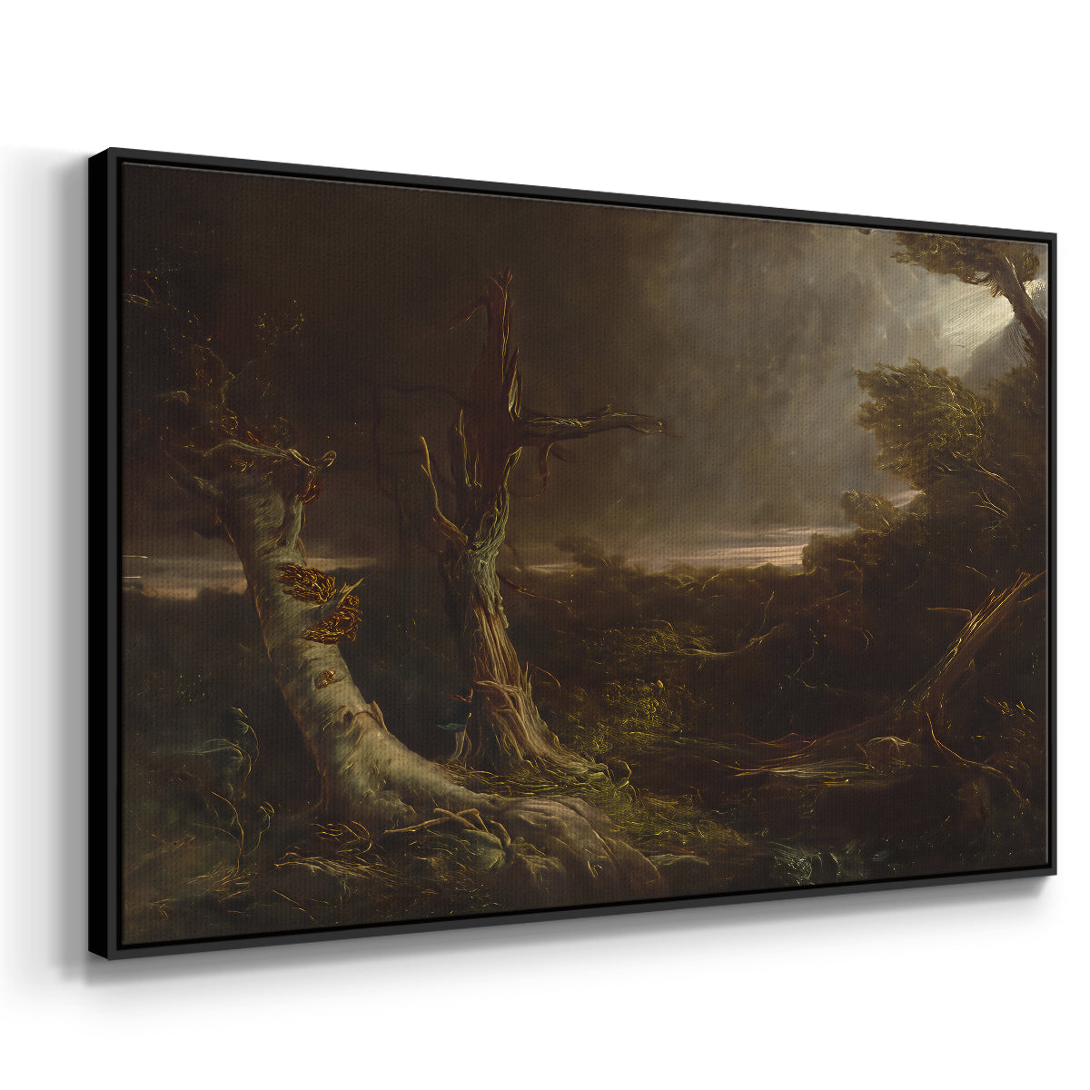 Tornado in an American Forest, 1835 - Floater Framed Canvas Print