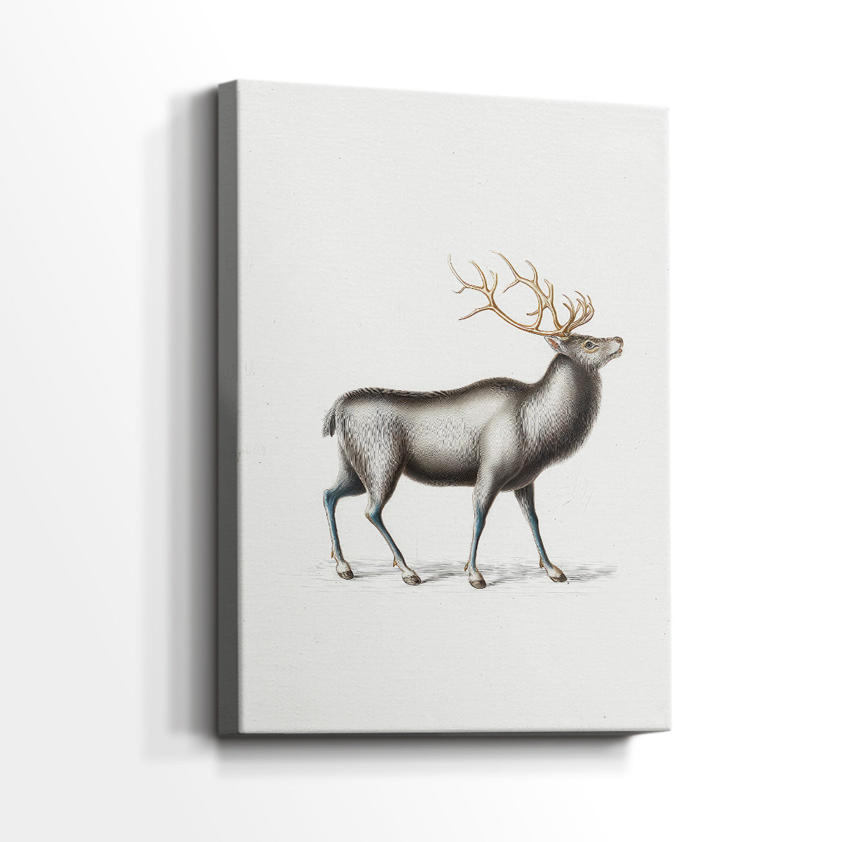 Silver Blessing - Canvas Art Print