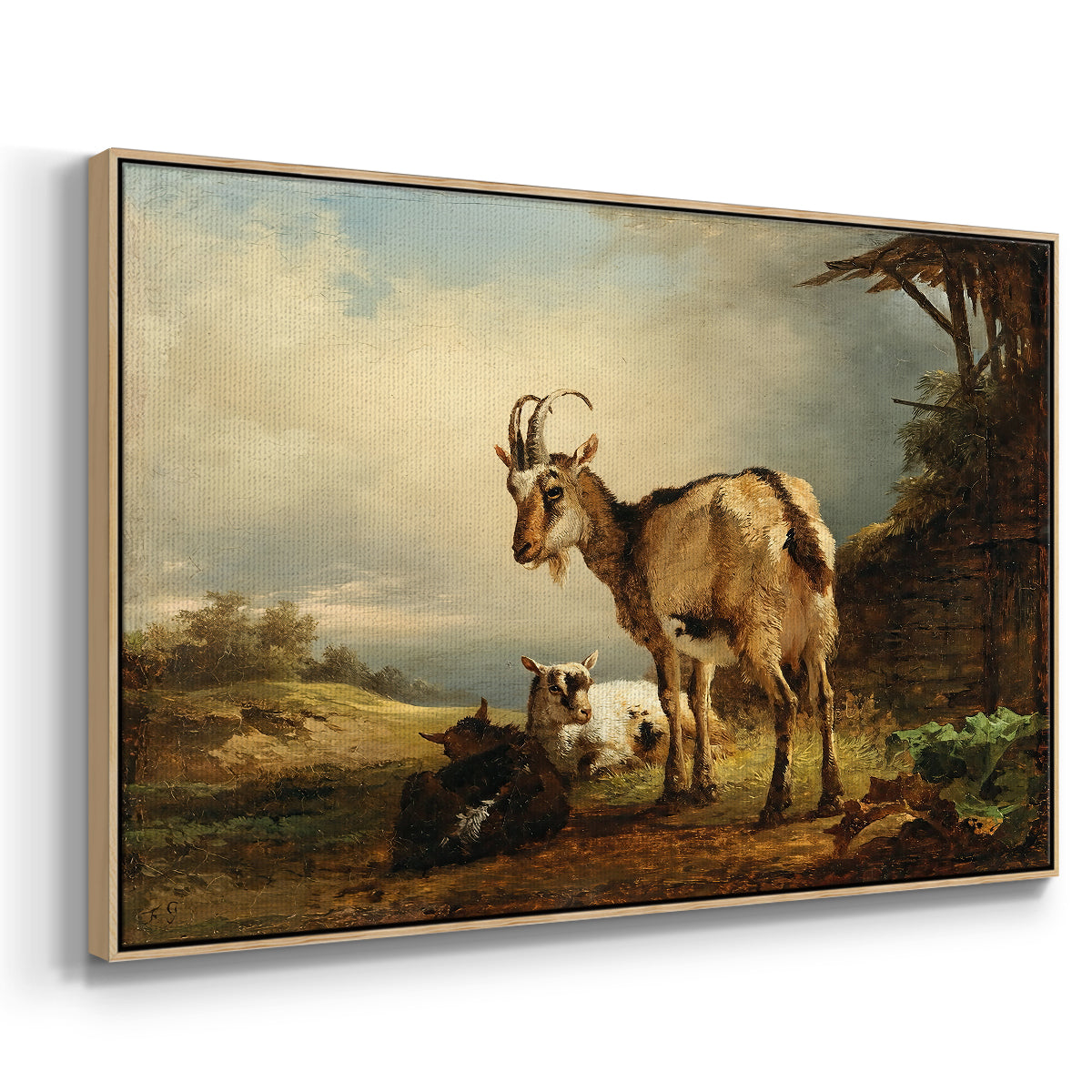 A Goat with Two Kids - Floater Framed Canvas Print