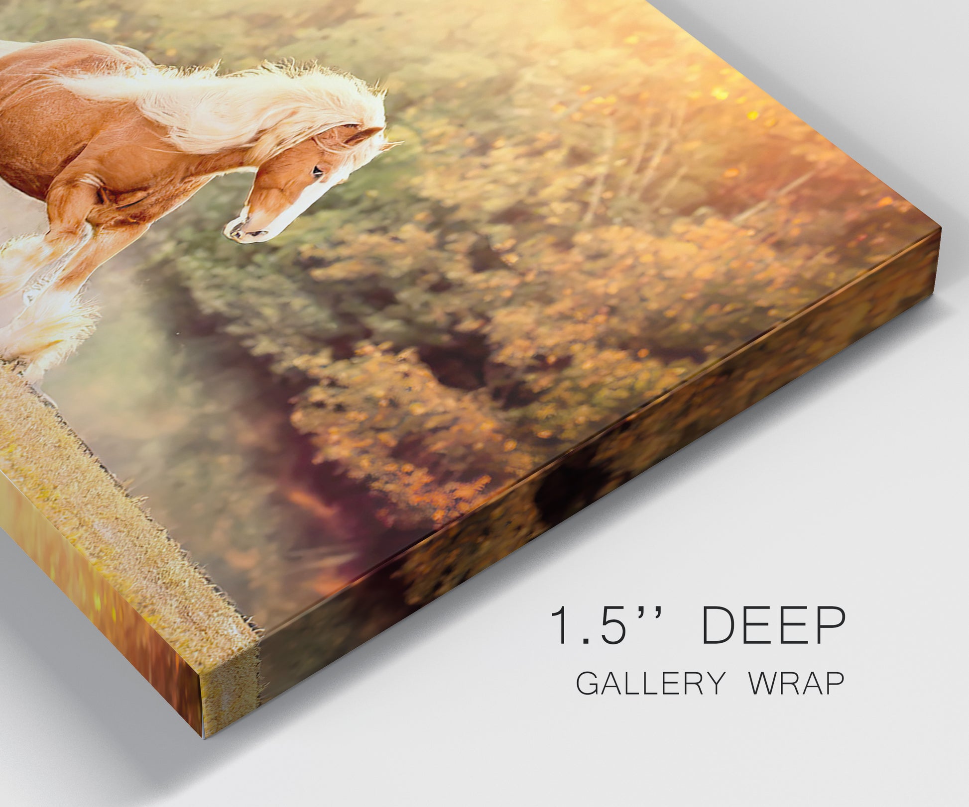 Close-up view of wrapped canvas corner featuring running horses captured in motion.