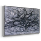 The Gray Tree, 1911 - Floater Framed Canvas Print