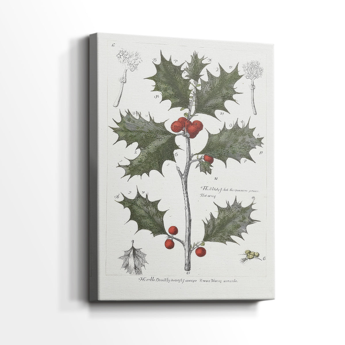 Silver Promise of Nativity - Canvas Art Print