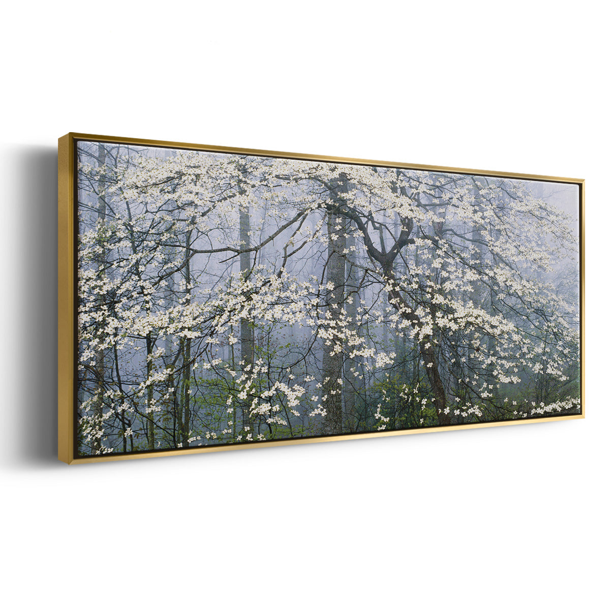 Dogwood Canopy - Floater Framed Canvas Print