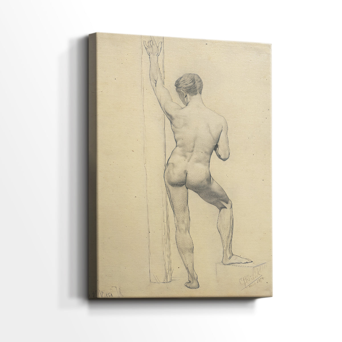 Side view of a canvas art print of a simple anatomical sketch with minimal background, showing gallery-wrapped depth.