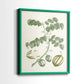 Buchoz Tropicals II - Restickable Framed Art Print