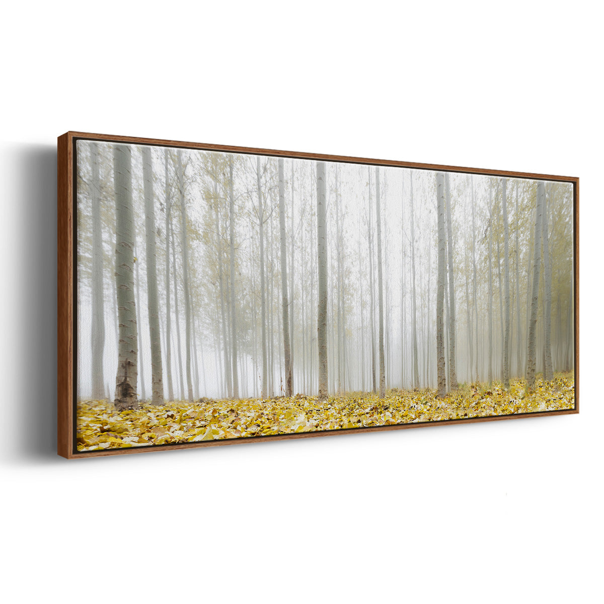 Poplar Grove - Floater Framed Canvas Print