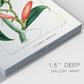 Turpin Tropical Botanicals IX - Canvas Art Print