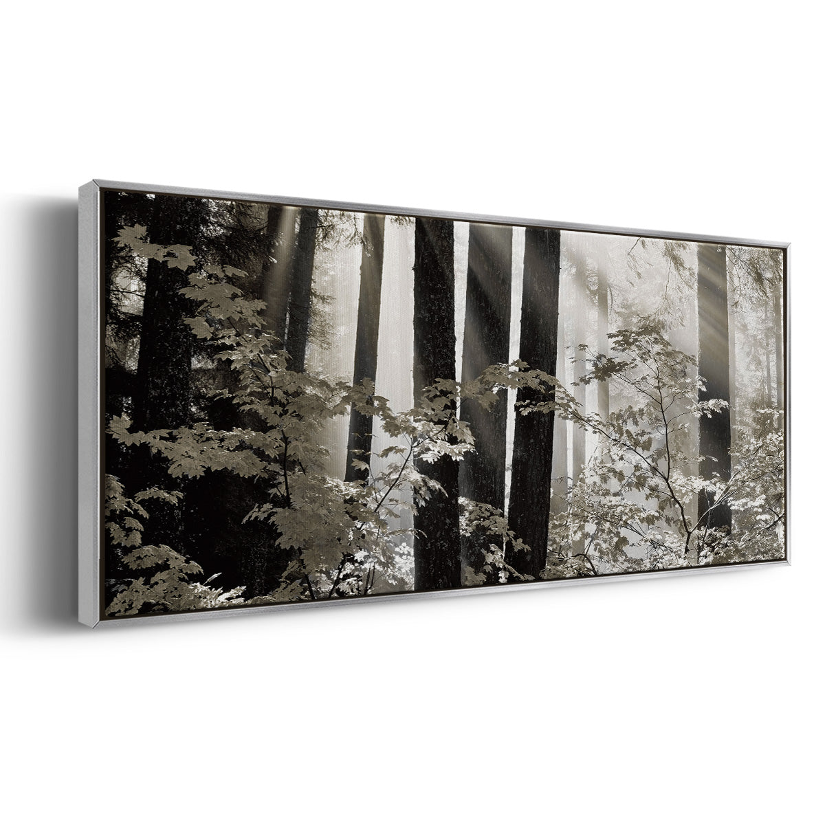 Misty Forest - Floater Framed Canvas Print