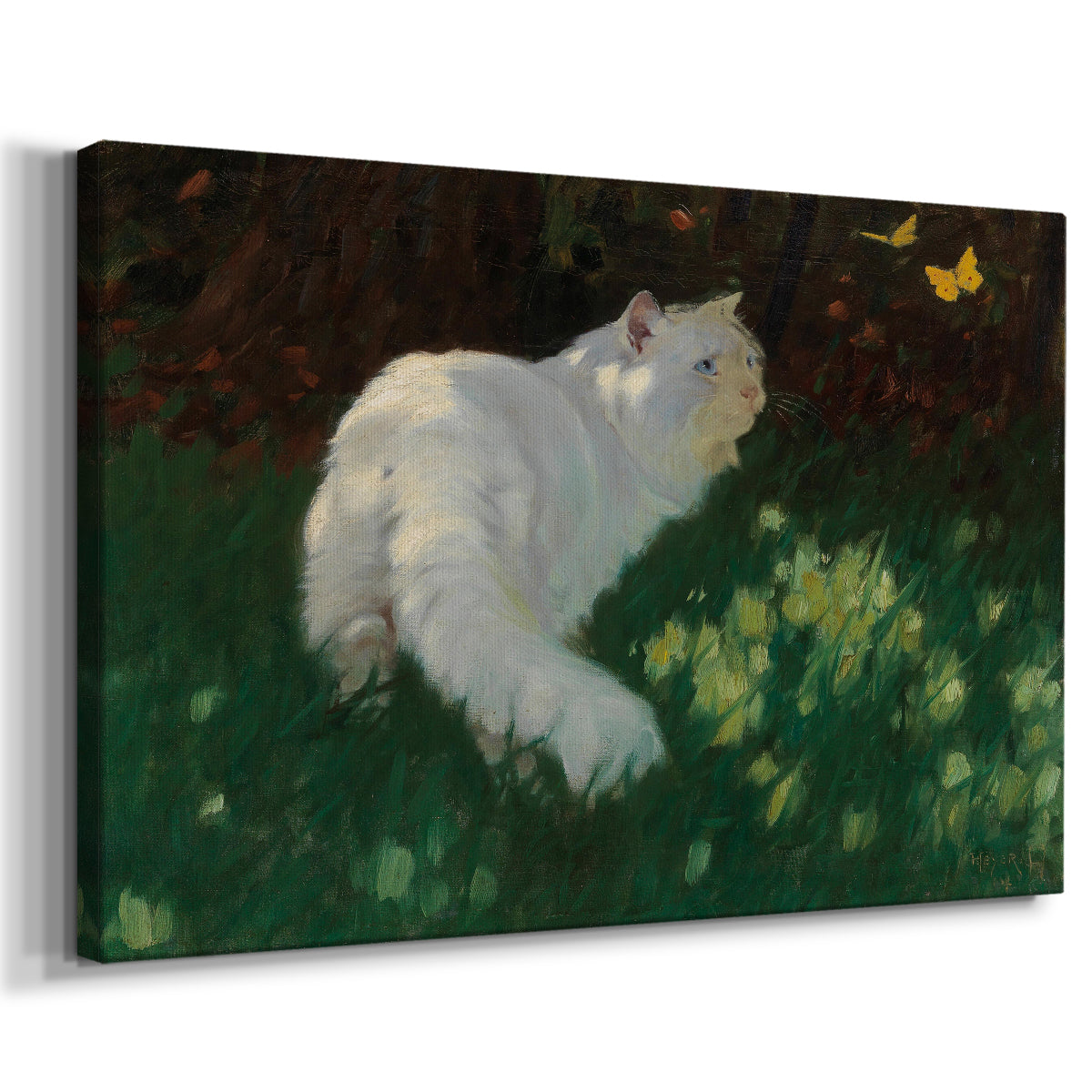 cat,white cat,garden,butterflies,relaxation,sunlight,greenery,flowers,afternoon,outdoor,nature,animal,pet,fluffy,peaceful,yellow,basking,soft,serene,playful,vibrant,sitting,observing,wildlife,tranquility,soft fur,leisure,day,insect,blooming,domestic,scene,colorful,habitat,warm weather,feline,natural light,cute,playful creatures,paws,beauty,grass