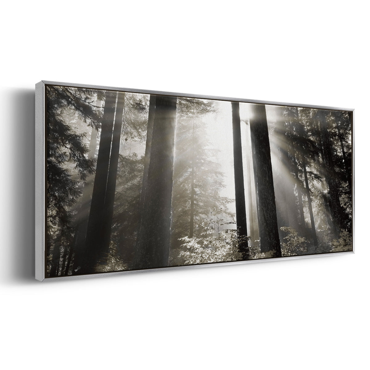 Morning Light - Floater Framed Canvas Print